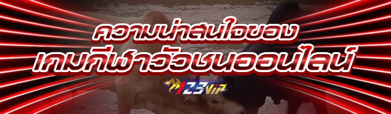 ความน่าสนใจของ เกมกีฬาวัวชนออนไลน์